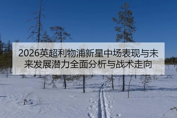 2026英超利物浦新星中场表现与未来发展潜力全面分析与战术走向